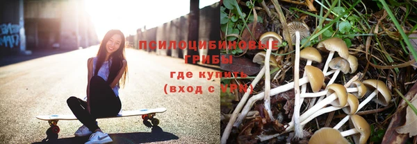 таблы Богородск