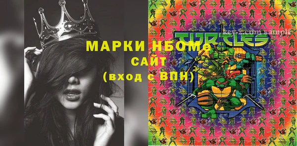 PSILOCYBIN Богданович