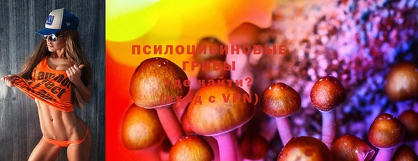 а пвп мука Белокуриха
