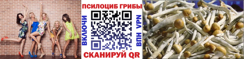 дарнет шоп  Острогожск  KRAKEN ссылка  Псилоцибиновые грибы Psilocybe 